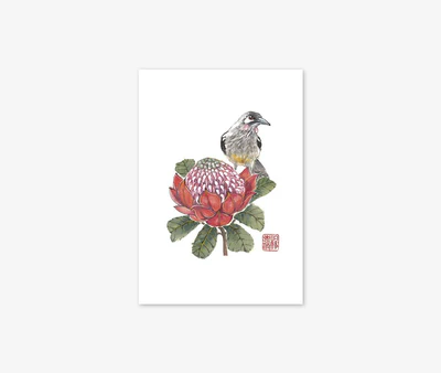 Red Wattlebird&lt;br&gt;Gift Card Only